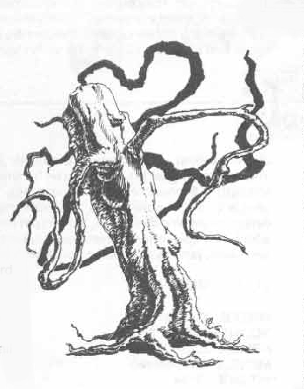 Graveyard tree mugger