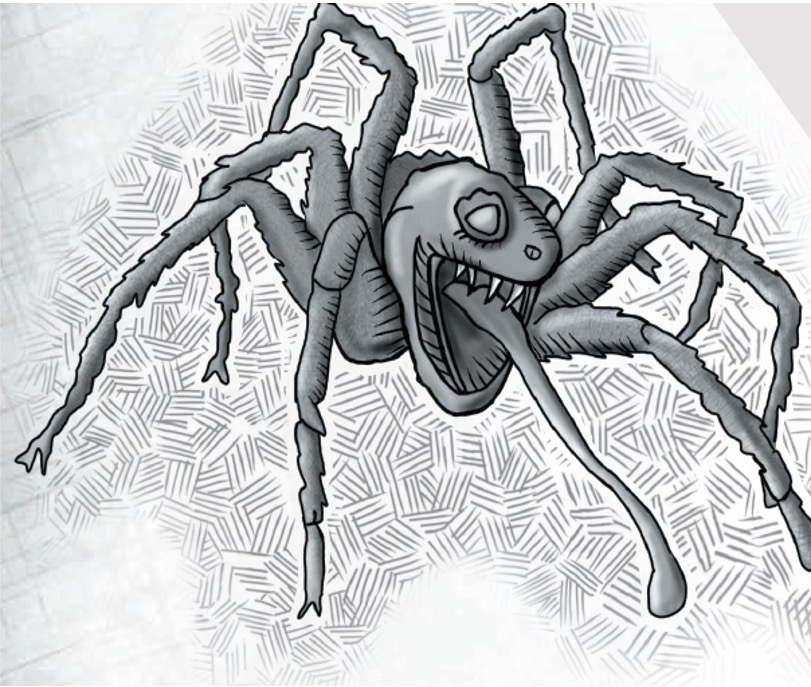 toad-spider.jpg