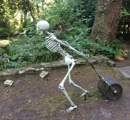 skeleton-gardening_edit_108182029444678.jpg