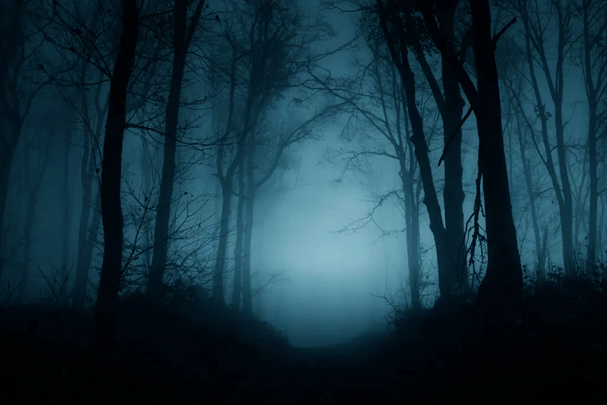 haunted forest.jpg