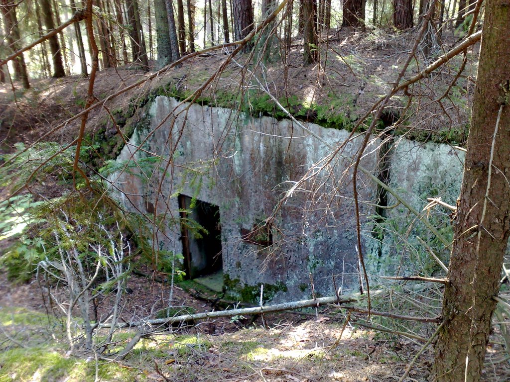 Underground fort.jpg