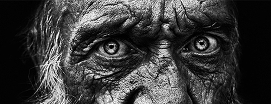 old mans eyes.jpg