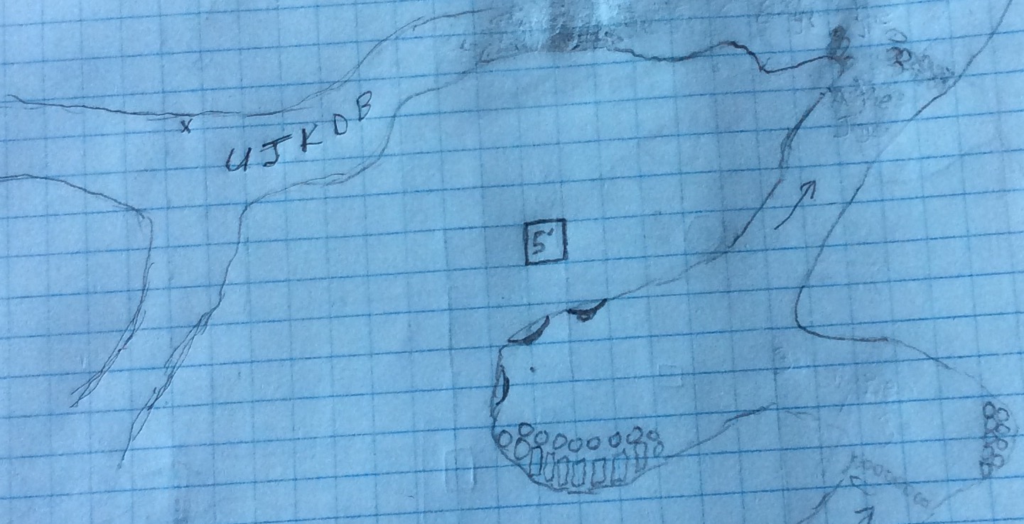 image.jpeg