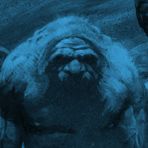 the face.jpg