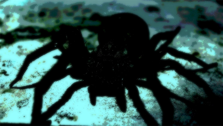 dark mother.jpg