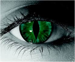 Cats eye.jpg